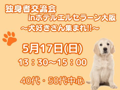 パーティーID:4432950の画像