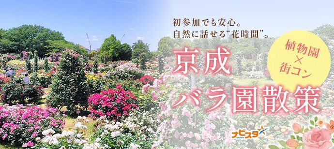 パーティーID:4432974の画像