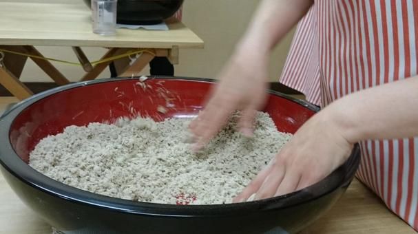 パーティーID:4435212の画像