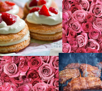 パーティーID:4436728の画像