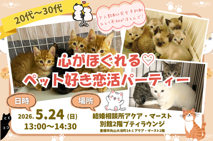 パーティーID:4439519の画像