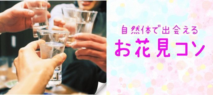 パーティーID:4440122の画像