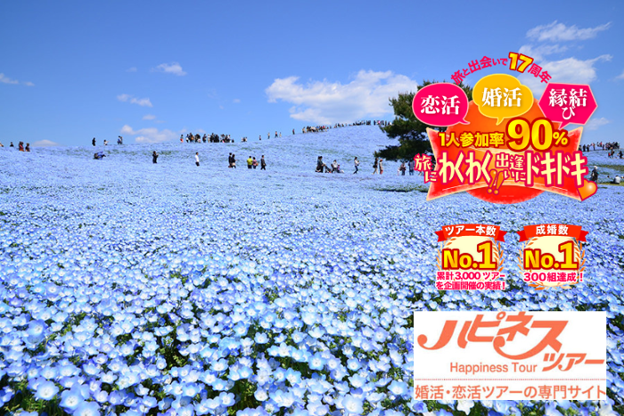 パーティーID:4440301の画像