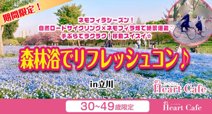 パーティーID:4440721の画像