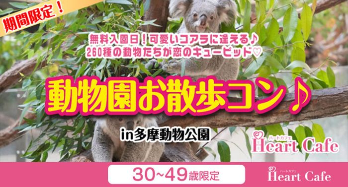 パーティーID:4443104の画像
