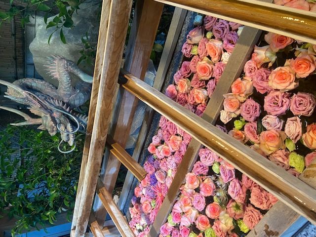 パーティーID:4443885の画像