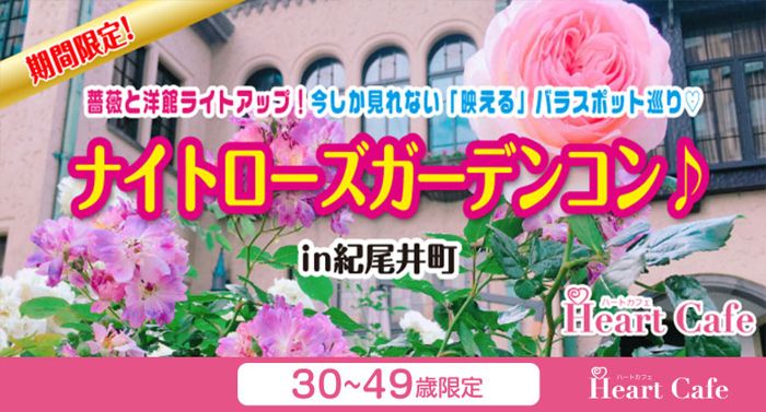 パーティーID:4445445の画像