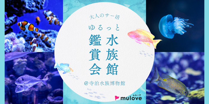 パーティーID:4445793の画像