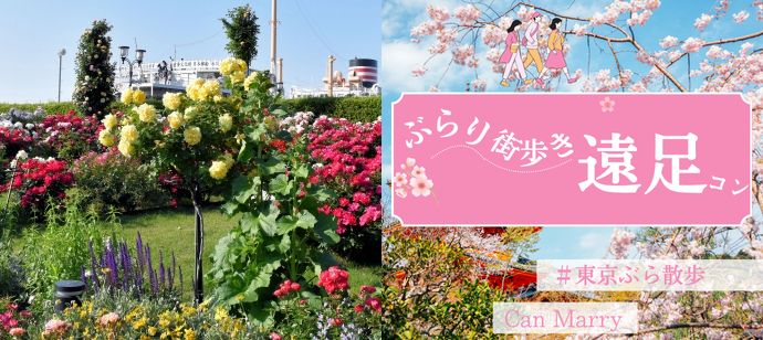 パーティーID:4446381の画像