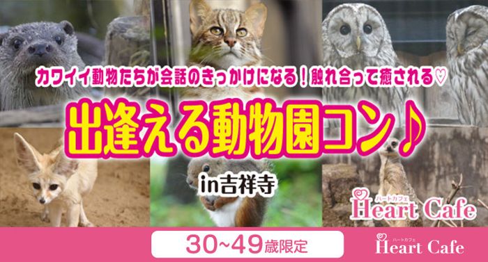 パーティーID:4449184の画像