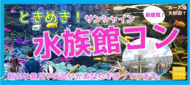 パーティーID:4449540の画像