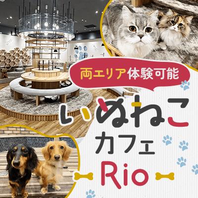 パーティーID:4449804の画像