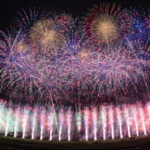 パーティーID:4449956の画像