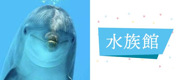 パーティーID:4452275の画像