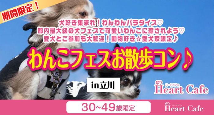 パーティーID:4452439の画像