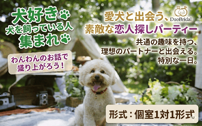 パーティーID:4458275の画像