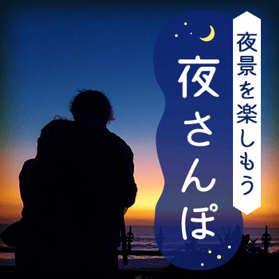 パーティーID:4459413の画像