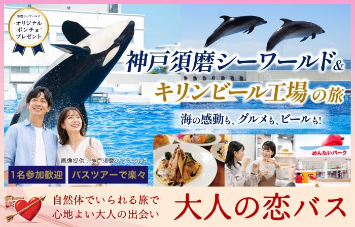 パーティーID:4460574の画像
