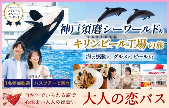 パーティーID:4460576の画像