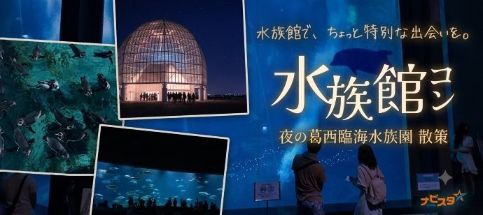 パーティーID:4461358の画像