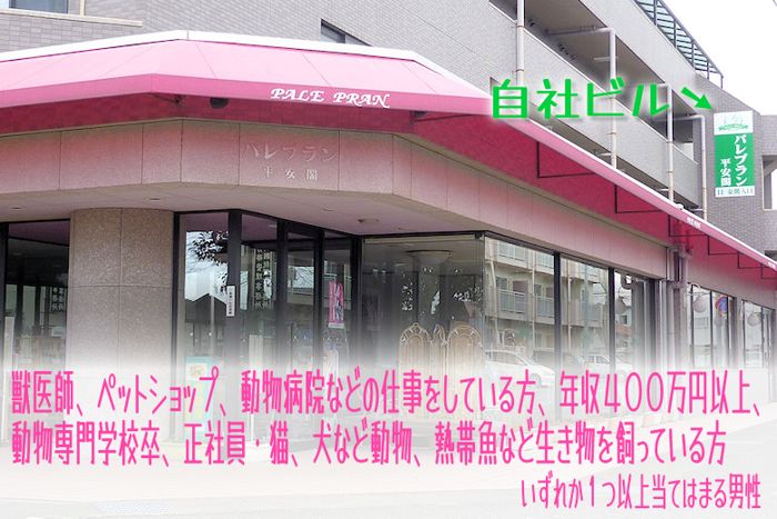 パーティーID:4461711の画像