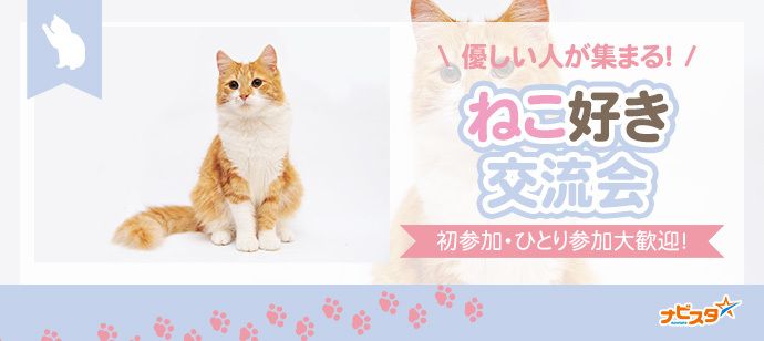 パーティーID:4463832の画像