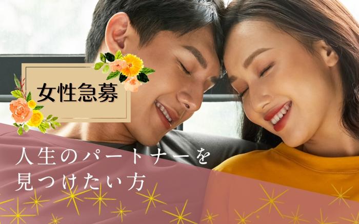 パーティーID:4464711の画像