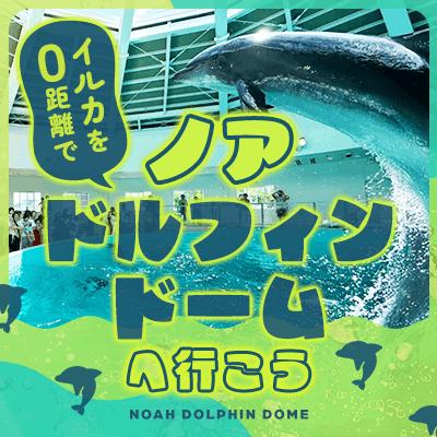 パーティーID:4464751の画像