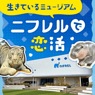 パーティーID:4464767の画像