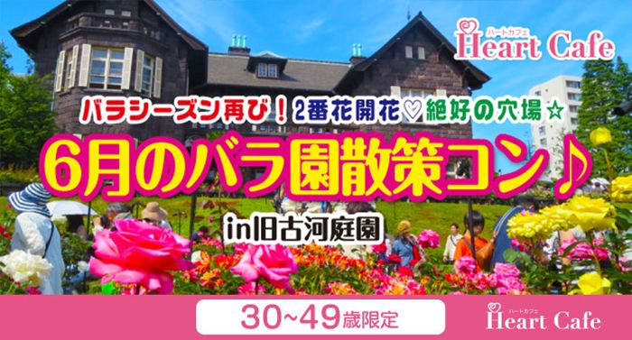 パーティーID:4465151の画像