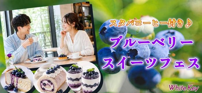 パーティーID:4465945の画像