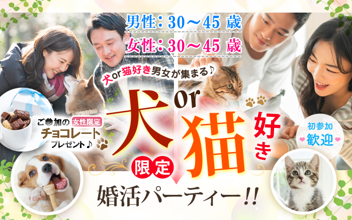 パーティーID:4467248の画像