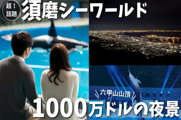パーティーID:4468119の画像