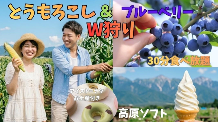 パーティーID:4468130の画像