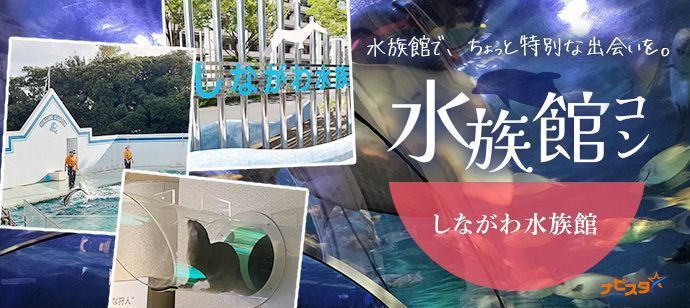 パーティーID:4469169の画像