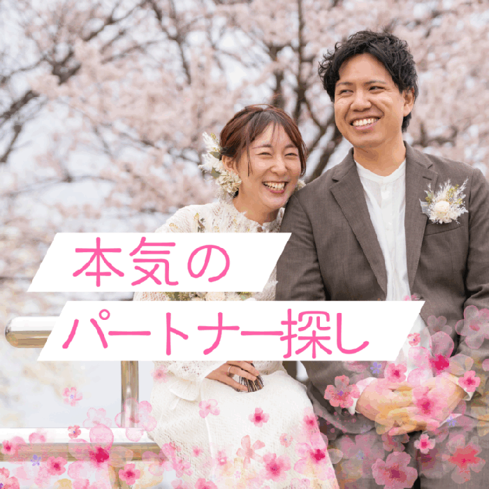 パーティーID:4472210の画像
