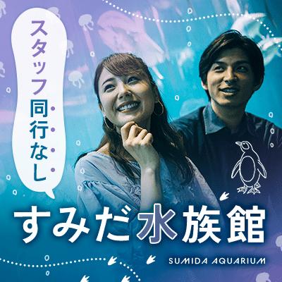 パーティーID:4472446の画像