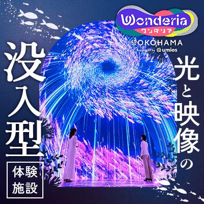 パーティーID:4472453の画像