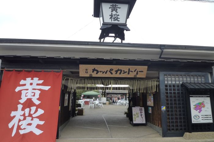 パーティーID:4473427の画像