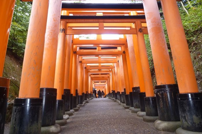 パーティーID:4473458の画像