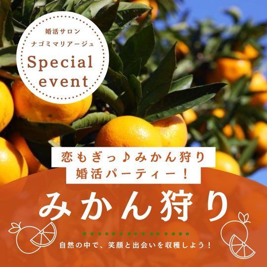 パーティーID:4476061の画像