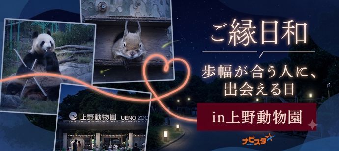 パーティーID:4477869の画像