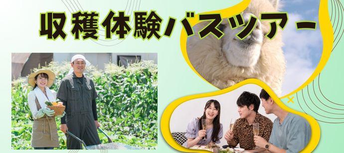 パーティーID:4478240の画像