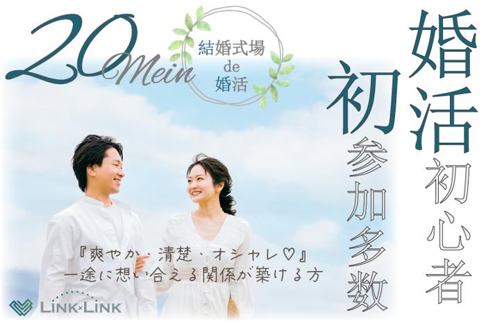 パーティーID:4479803の画像
