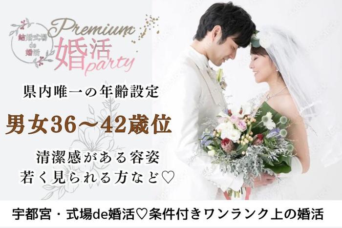 パーティーID:4479810の画像