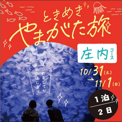 パーティーID:4482751の画像