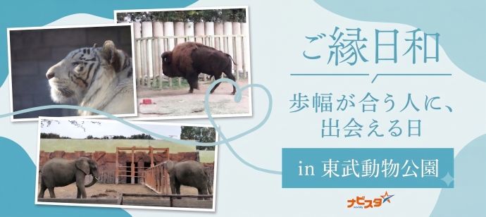 パーティーID:4483548の画像