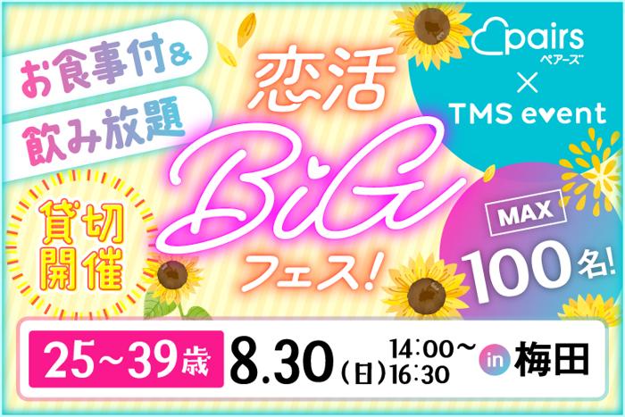 パーティーID:4485120の画像