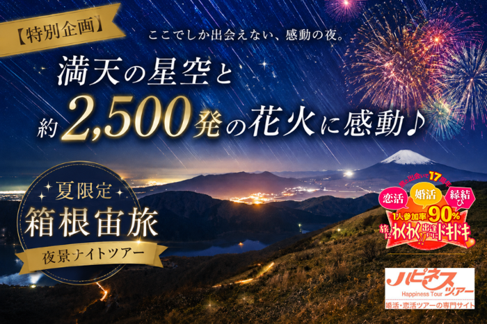パーティーID:4485187の画像