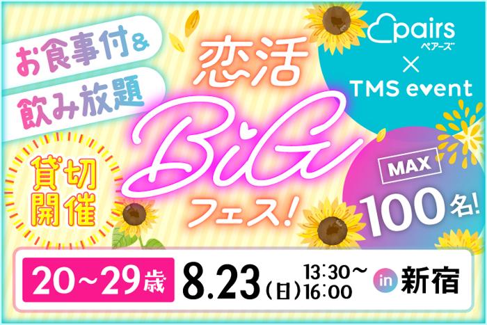 パーティーID:4485373の画像